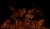 1200-DSC_0946.jpg